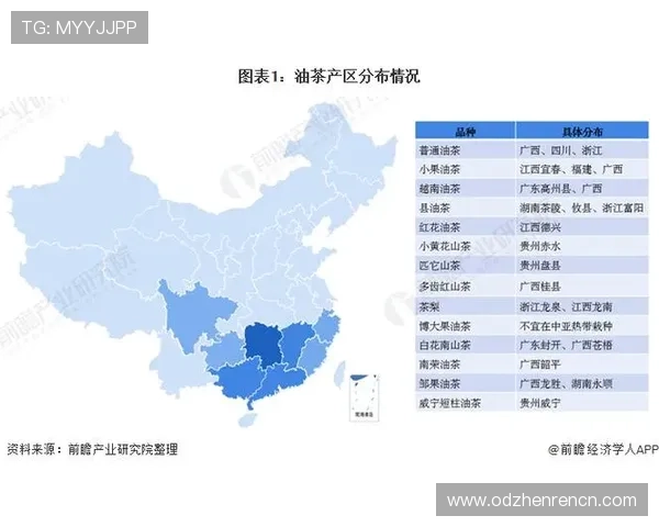 4008集团官网在行业中的竞争优势与市场布局分析