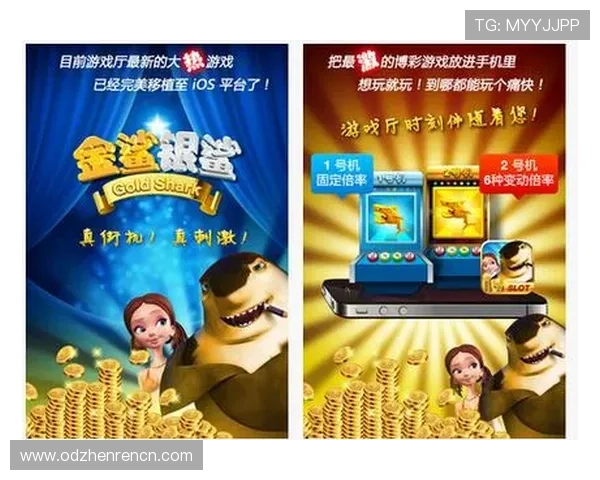 金鲨银鲨老虎机高分技巧分享，提升游戏水平实现财富自由