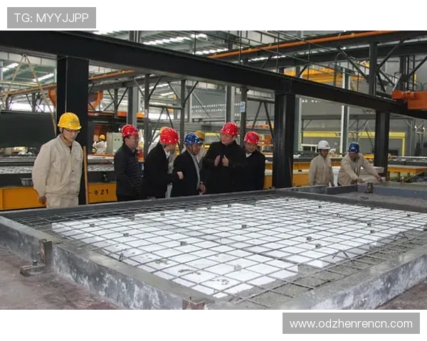 博鱼真人网址上线时间最新消息，了解平台发展动态与未来规划