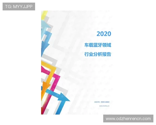 免费百家电子路单下载资源大全，满足不同玩家的电子路单需求提升游戏胜率
